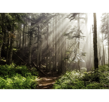 Foggy forest perspective fototapete narava - TenStickers