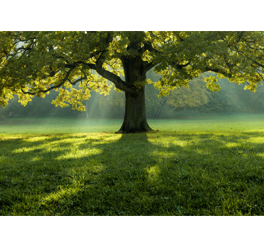 Majestic tree silhouette fototapete narava - TenStickers