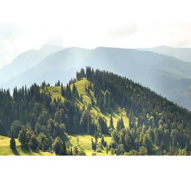 Mountain forest scene stenske poslikave - TenStickers