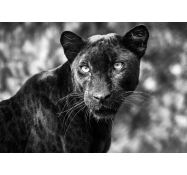 Lepe panter črne krajinske fototapeta - TenStickers