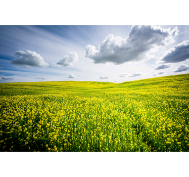 Vast green field fototapete narava - TenStickers