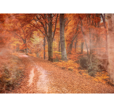 Autumn trail path fototapete narava - TenStickers