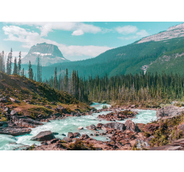 Verdant mountain stream stenske poslikave - TenStickers