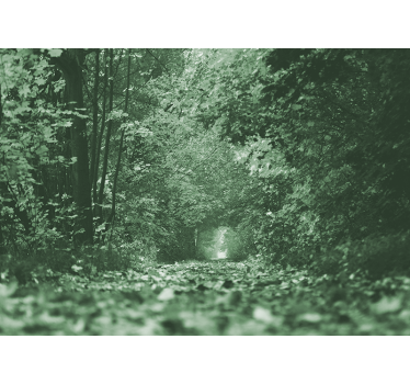 Zeleno listje tunel narava fototapeta - TenStickers