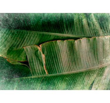 Vibrant foliage tiers fototapete narava - TenStickers