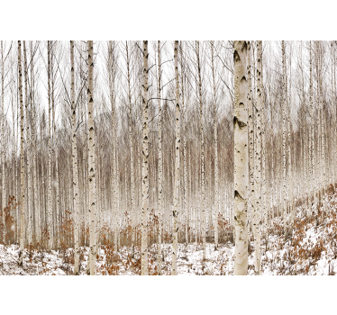 Mlade breze drevesne stenske fototapete - TenStickers