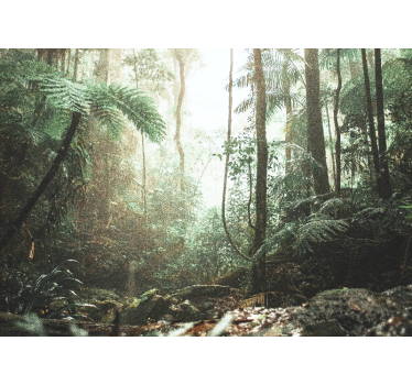 Lush jungle serenity fototapeta gozd - TenStickers