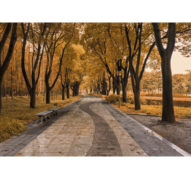 Autumn tree path stenske poslikave - TenStickers