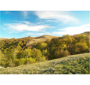 Rolling hill landscape stenske poslikave - TenStickers