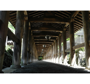 Wooden pathway view fototapeta gozd - TenStickers