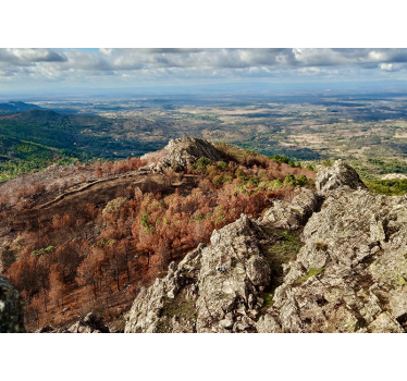 Pogled na gorato območje Stenske poslikave - TenStickers