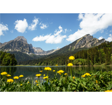 Mountain lakeside view stenske poslikave - TenStickers