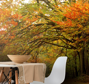 Autumn woodland view fototapeta gozd - TenStickers