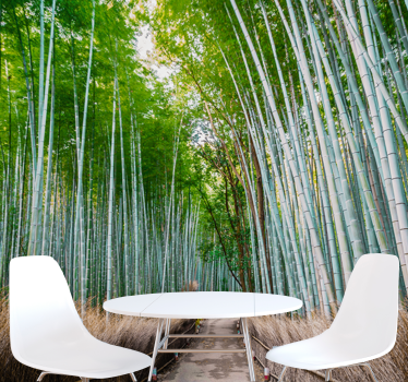 Bamboo forest path fototapeta s bambusom - TenStickers