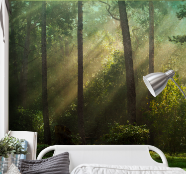 Enchanting forest scene fototapeta gozd - TenStickers
