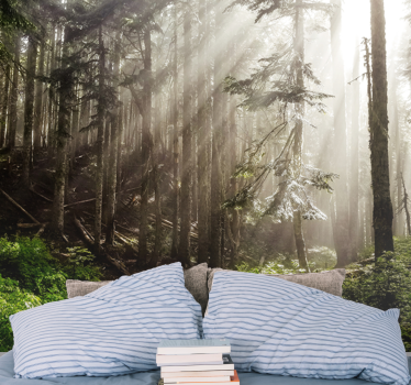 Foggy forest perspective fototapete narava - TenStickers