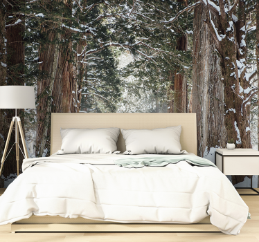 Icy woodland trail fototapeta gozd - TenStickers