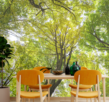 Lush forest canopy fototapete narava - TenStickers
