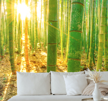 Lush forest fototapeta s bambusom - TenStickers