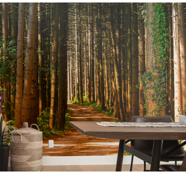 Magical woodland trail fototapeta gozd - TenStickers