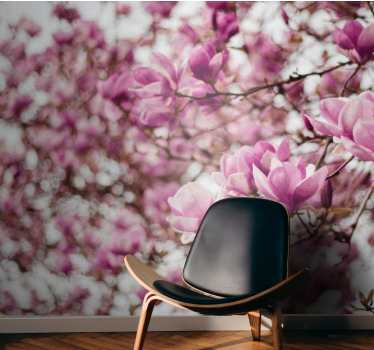 Magnolia blossom display fototapeta magnolija - TenStickers
