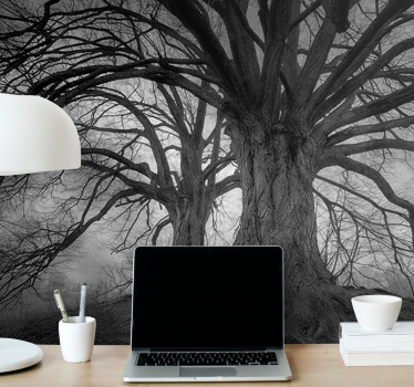 Majestic leafless trees fototapeta gozd - TenStickers