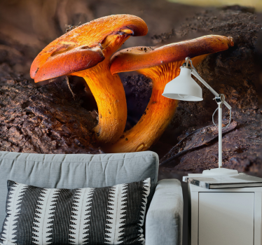 Mushroom nature scene fototapeta gozd - TenStickers