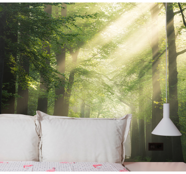 Radiant verdant woods fototapeta gozd - TenStickers