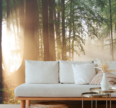 Serene forest rays fototapete narava - TenStickers