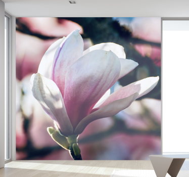 Spomladanski stenski stenski steno magnolije - TenStickers