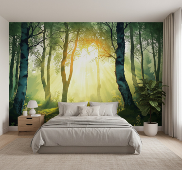 Sun-drenched birch mural fototapeta gozd - TenStickers