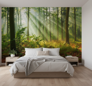 Sunlit morning grove fototapeta gozd - TenStickers