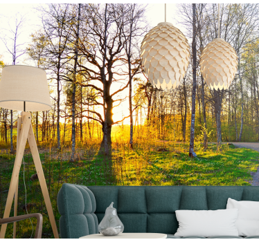 Sunny woodland trail fototapete narava - TenStickers