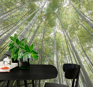 Tall bamboo forest fototapeta s bambusom - TenStickers
