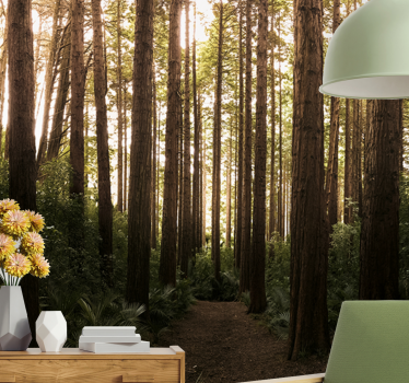 Tall forest trees fototapete narava - TenStickers