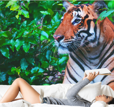 Tapeta džungle sijajen tiger v pogledu - TenStickers
