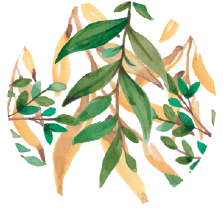 Leafy green botanical podstavek za kozarce - TenStickers