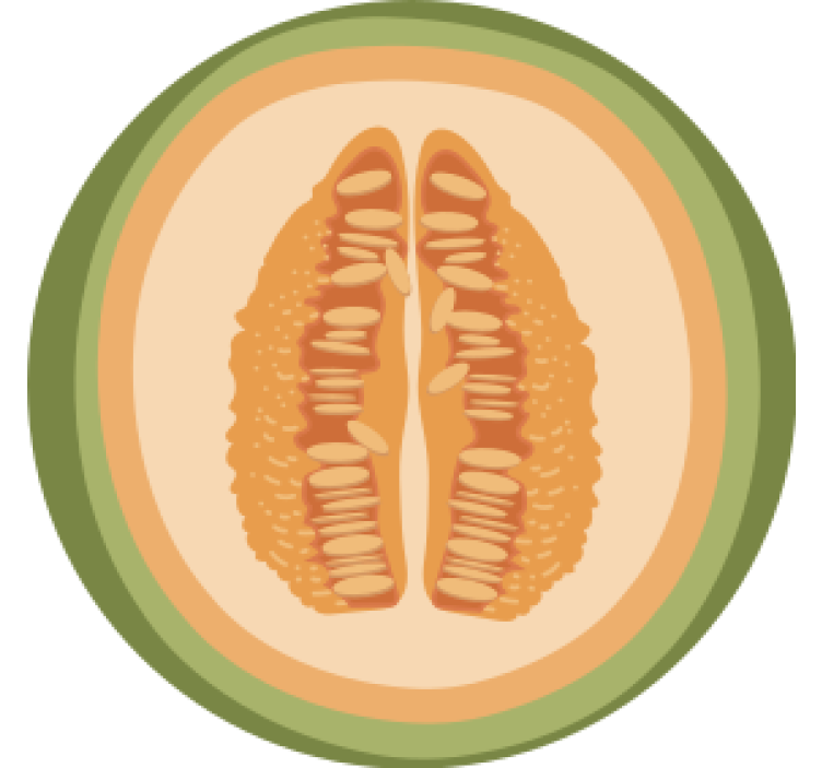 Fruit slice motifs podstavek za kozarce geeky - TenStickers