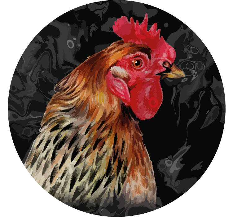 Realistic rooster portrait podstavki za kozarce vintage - TenStickers