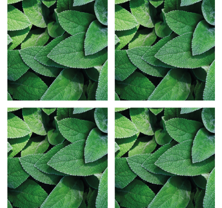 Vibrant green leaf motif podstavki z teksturo - TenStickers