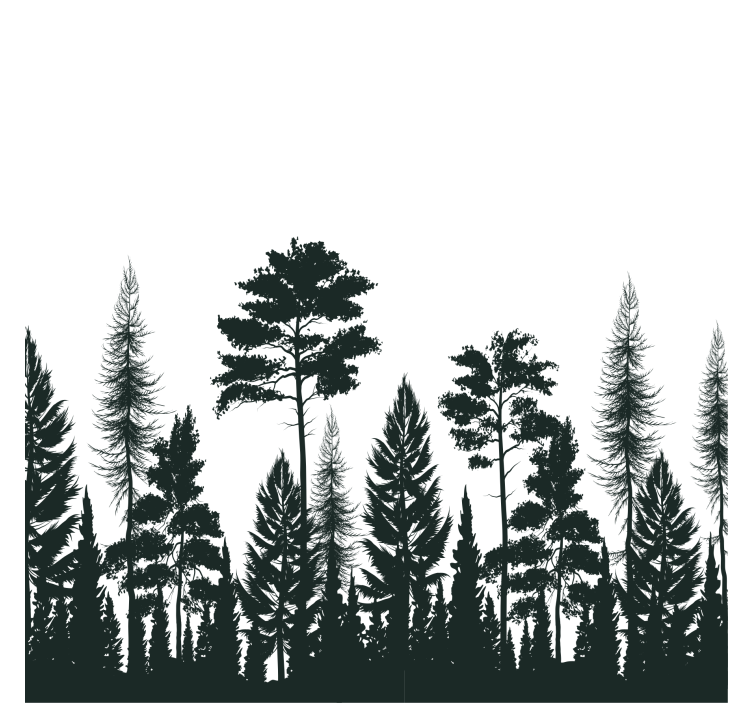 Silhouette of tall pines podstavki s teksturnim učinkom - TenStickers