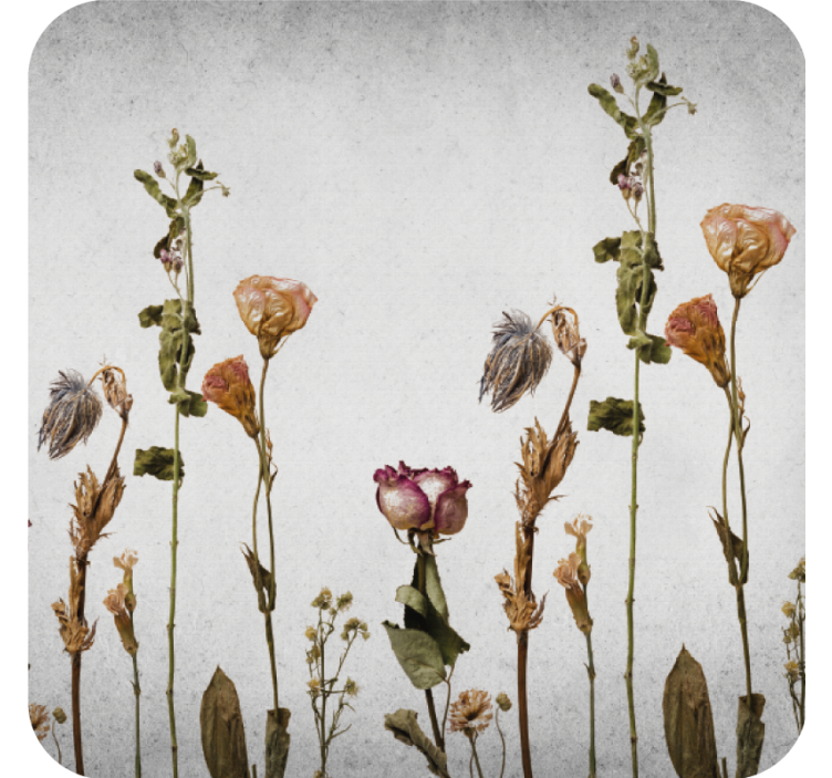 Dried floral arrangement s podstavki teksturiranega efekta - TenStickers