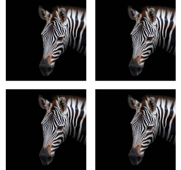 Podstavke za kozarce sodobni ilustracija zebre - TenStickers
