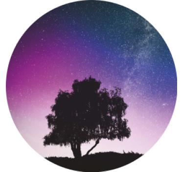 Starry night tree sodobni podstavki za kozarce - TenStickers