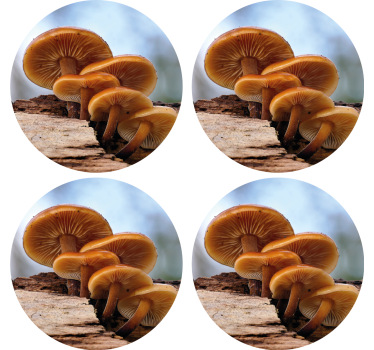 Podstavke za kozarce sodobni gobe v grozdu - TenStickers