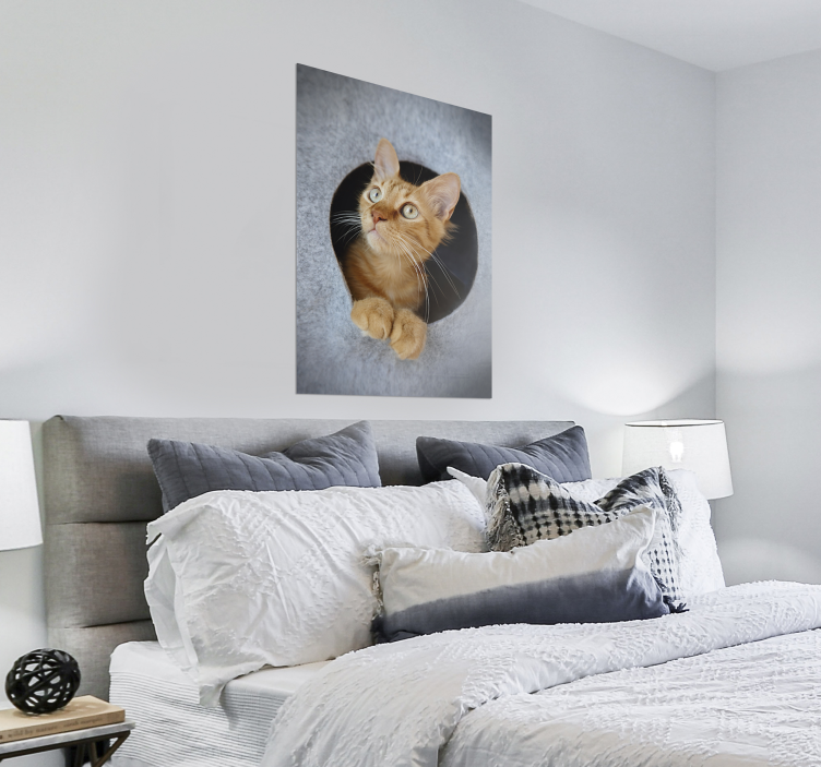 Oblikovanje tiska plakata kukajoče mačke - TenStickers