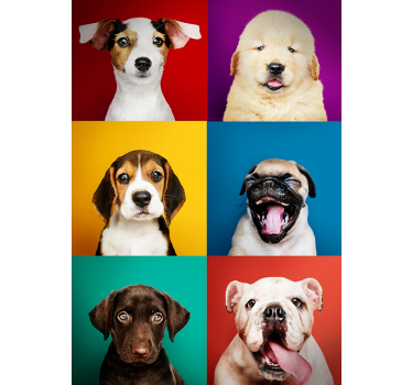 Plakat pasjega mladička - TenStickers