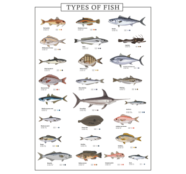 Plakat z ribami - TenStickers