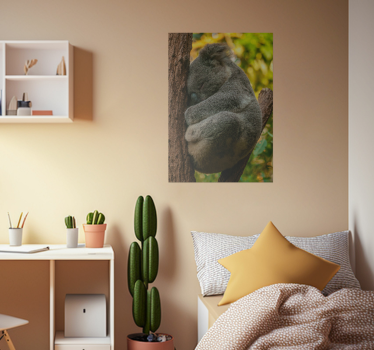 Koala spanje Plakat najstniška soba - TenStickers