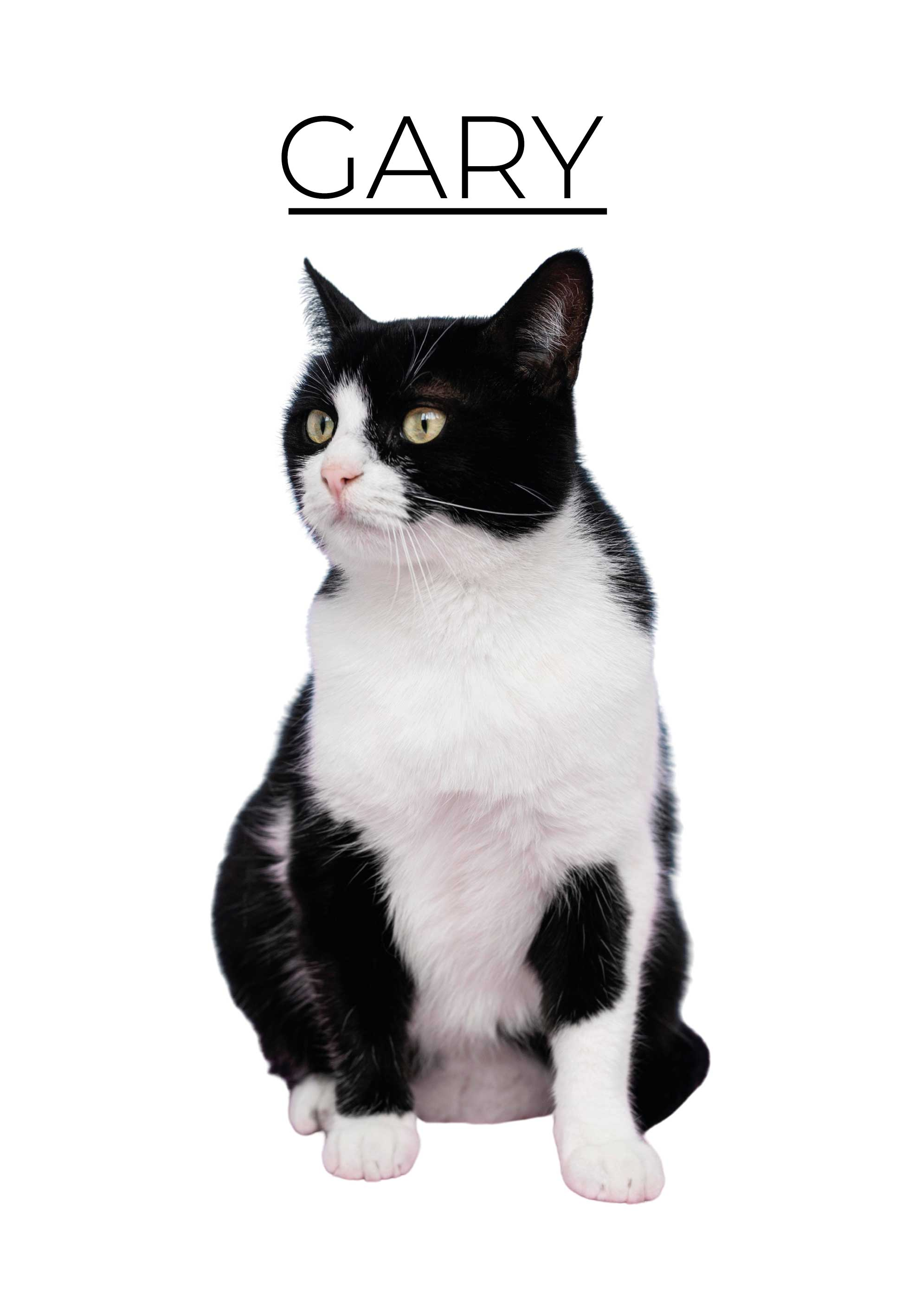 Personaliziran minimalističen Plakat z živalmi - TenStickers